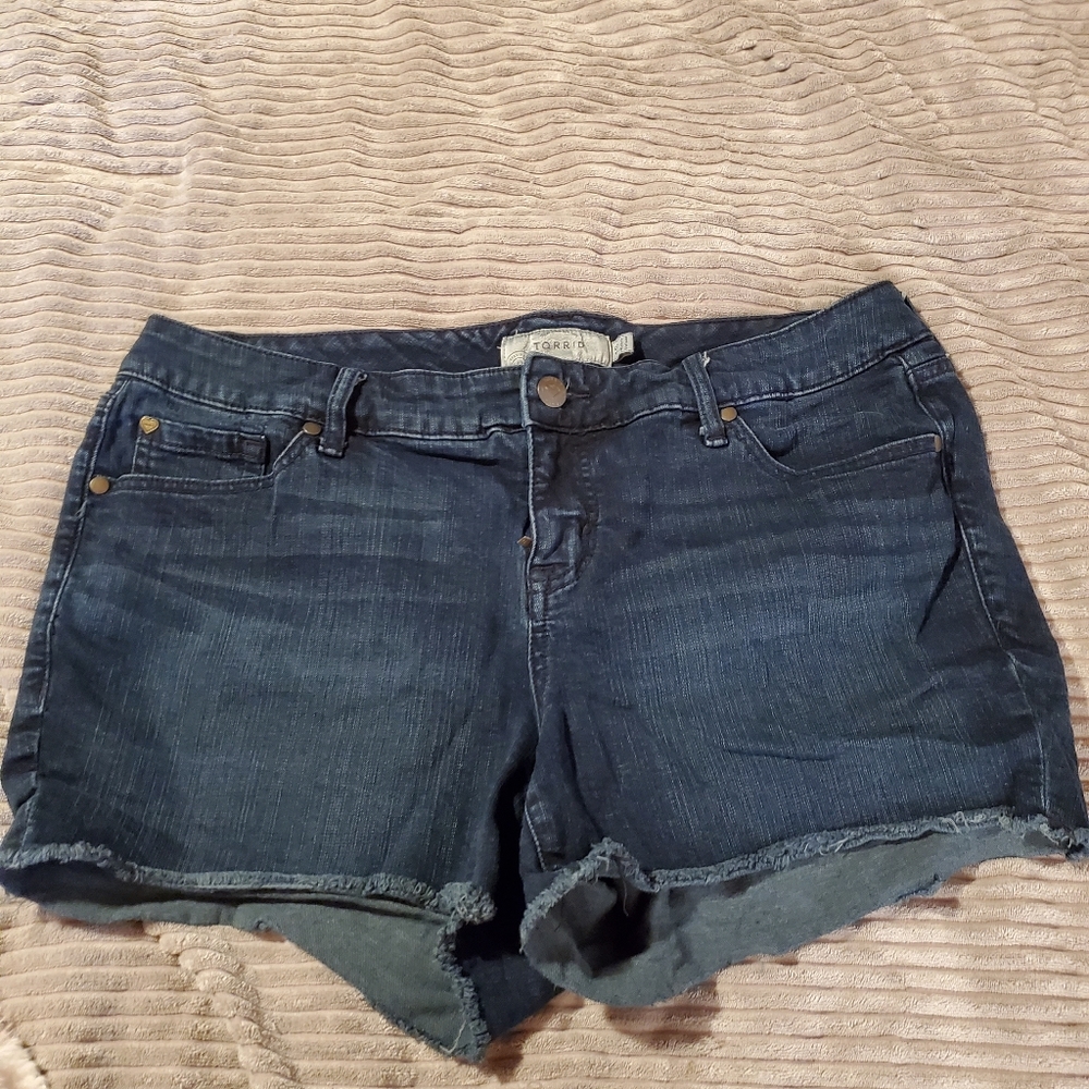 Torrid Shorts